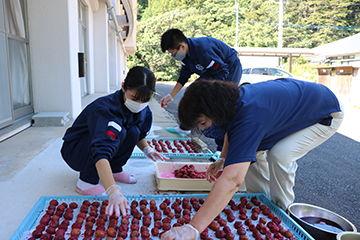 高校生や中学生の職場体験受け入れ