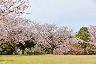 長崎県立百花台公園