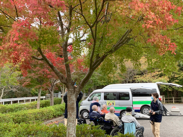 紅葉見学